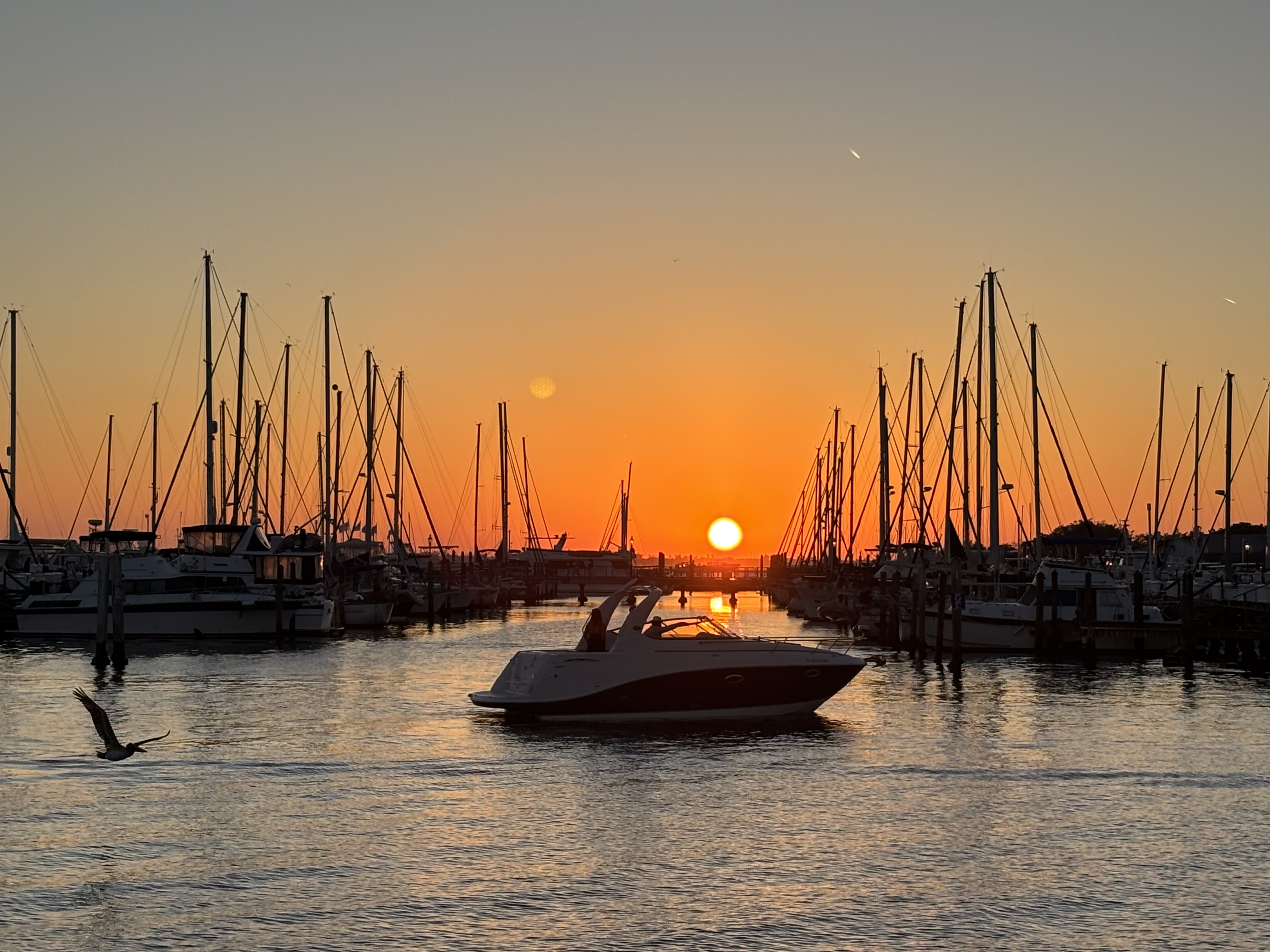 Harbor at sunset with a boat and a bird passing by.