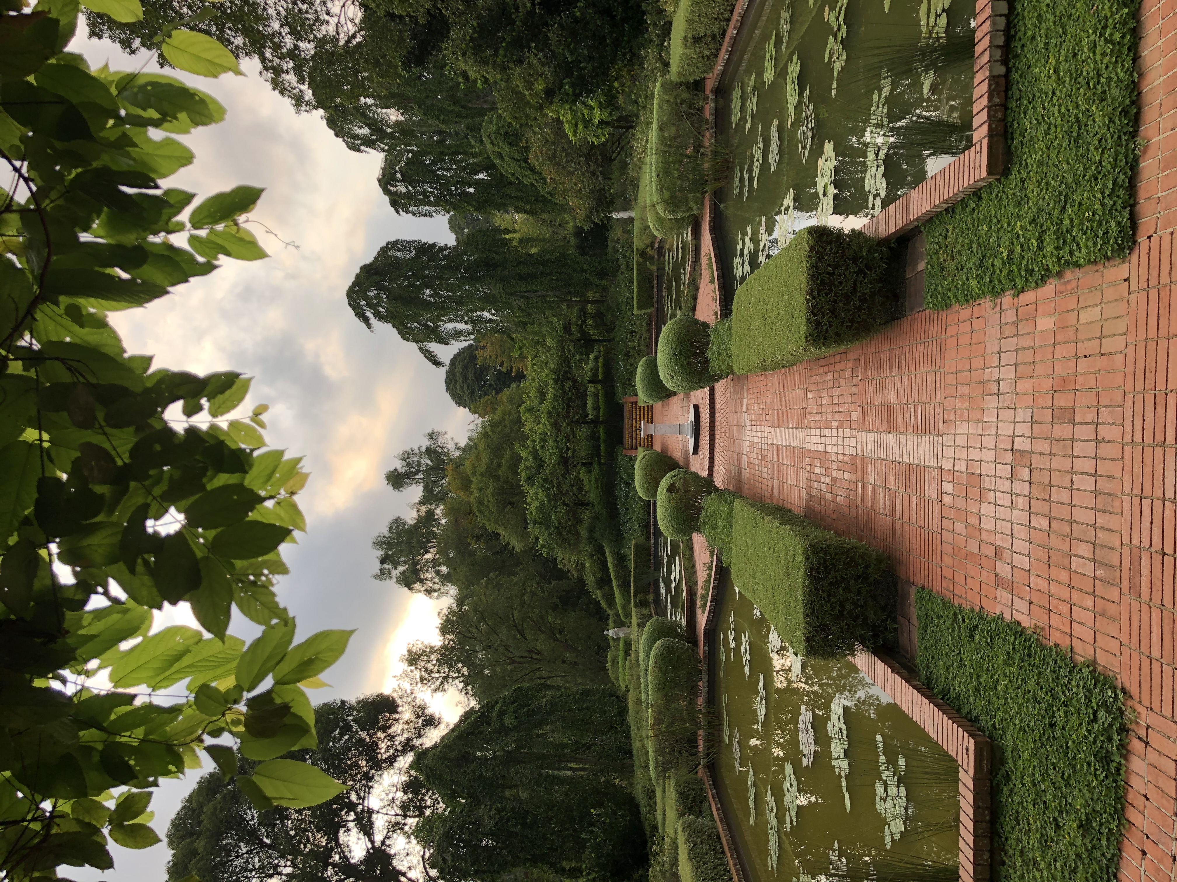 Morning walk at Singapore Botanic Gardens.